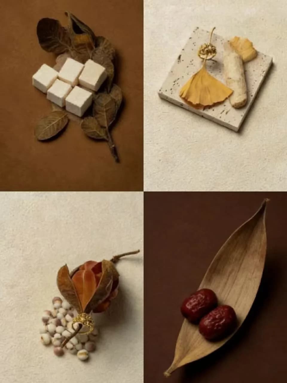 Discover how Bai Zhu, Fu Ling, dried ginger, and other traditional herbs support digestion, warmth, and whole-body balance.