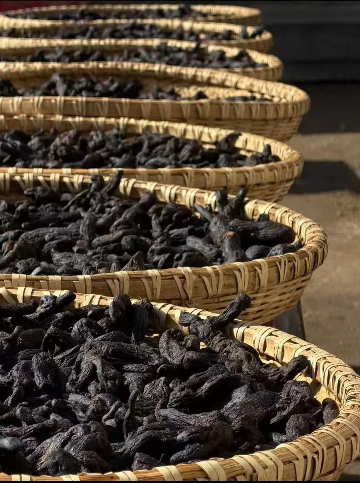 Huang Jing is a gentle tonic traditionally used to nourish Qi and Yin while supporting the spleen, lungs, and kidneys.