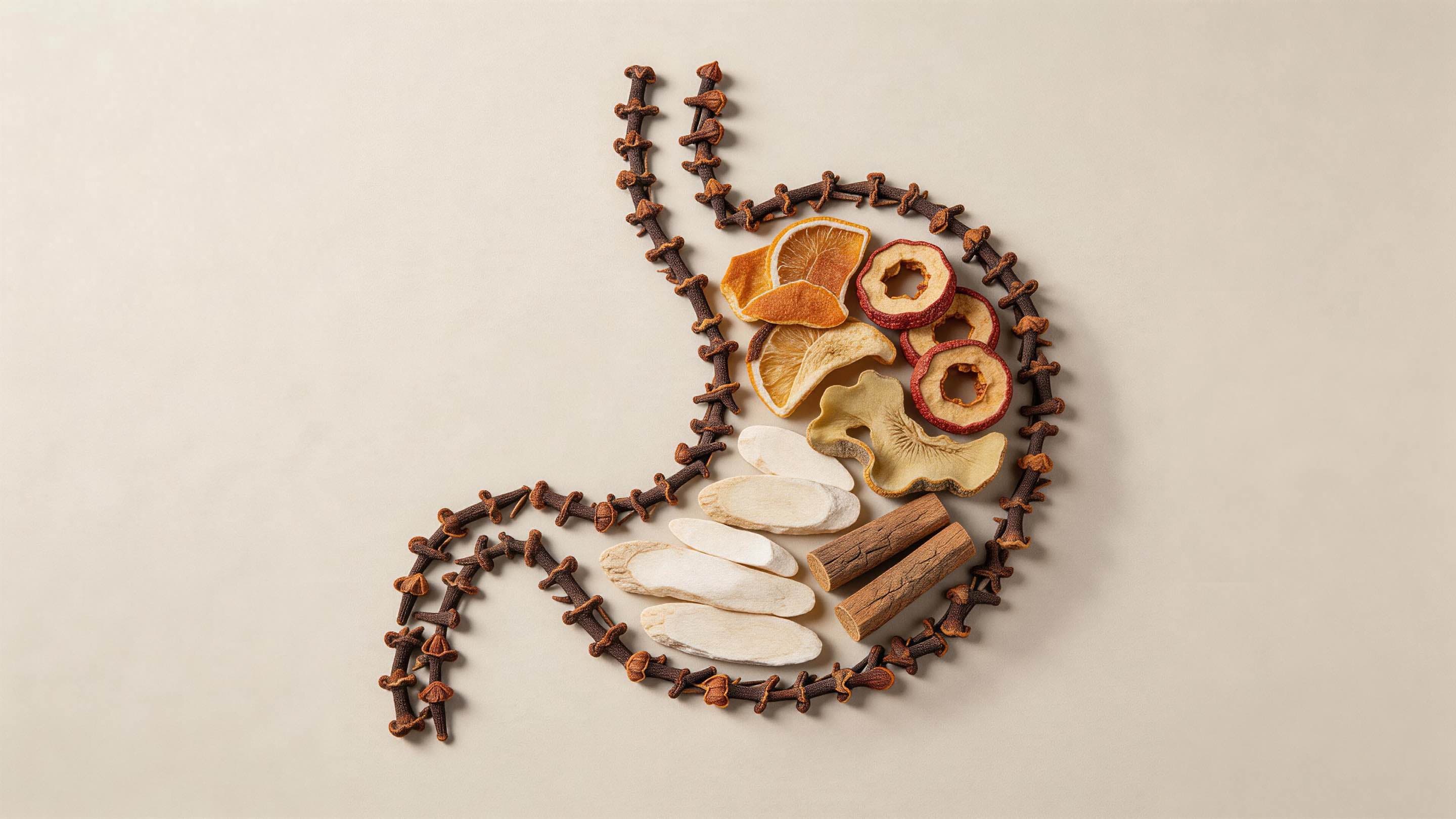 Herbal Approaches to Digestive Comfort